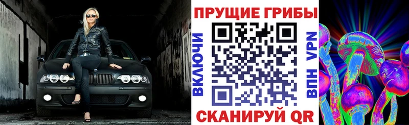 Галлюциногенные грибы Magic Shrooms  гидра как зайти  Высоцк  купить закладку 